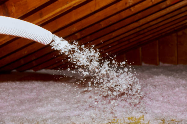 Best Residential Insulation in Troy, TN