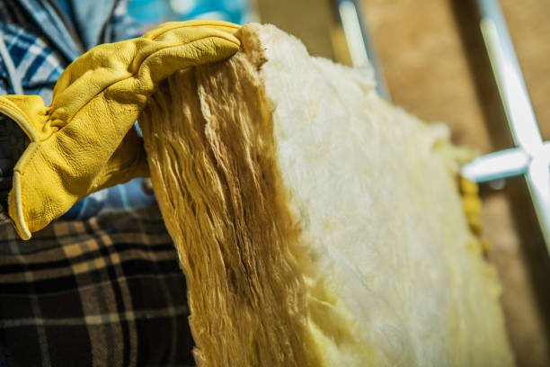 Best Geographic-Specific Insulation Services in Troy, TN